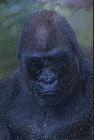 Item #103303064169862110884061021685904109073378734688534247676315579862395970912257 Media