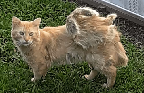 Item #52649343557446035135230494409130152297678794333817496810102692707681347567617 Media