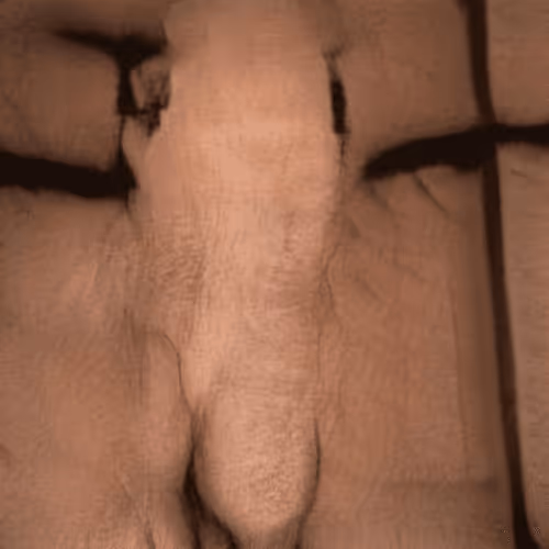 Item #82600979221046623916123607989992051554878063819231594198398202623027488751617 Media