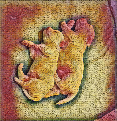 Item #49775347469148338497975615295710857595953595610684904343872467231529018327060 Media