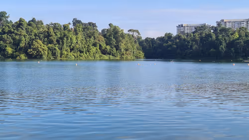 Item #92102367061063309777516937454515010530577803003562200099227054014220109611009 Media