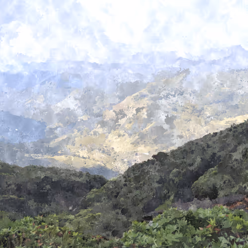 Mist Valley