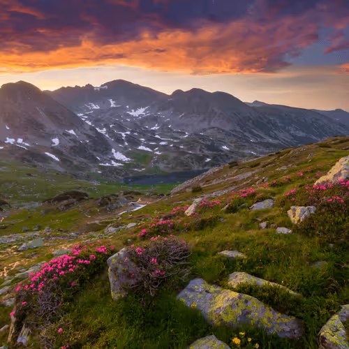 Item #5251330199677453137602023224784085473463322177594998439991548922985529212929 Media