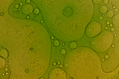 Item #25248765690261585435434482314818899014355955401617162377978101870501254135809 Media