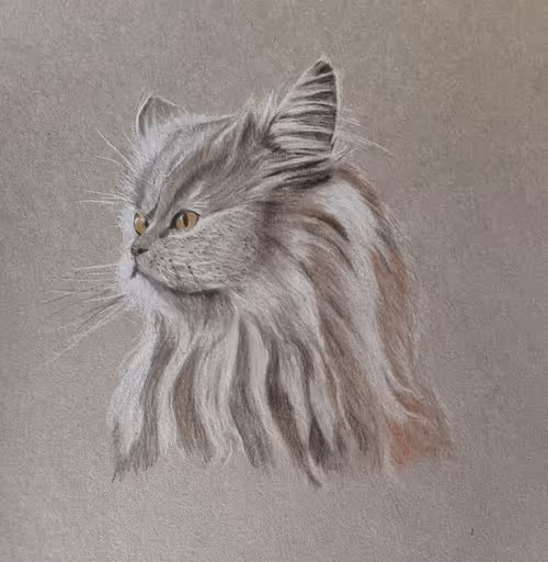 Item #105419299728699052063264212756894693477522242114999849485676962034287728656394 Media