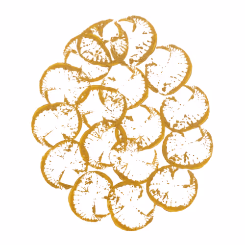 Item #114976545493241493257487804566862386491239486968085247361465236744613073518593 Media