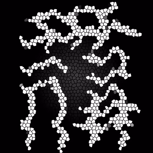 Item #112692583315393289640399895976932165051479569016209638740688331011239561920513 Media