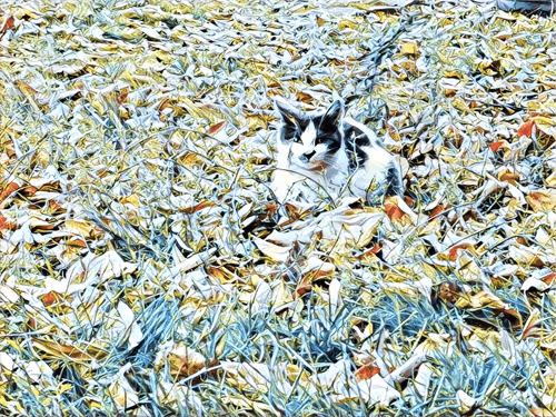 Item #46397680814911453718365897270123246439130732684861044295736256118796574523393 Media