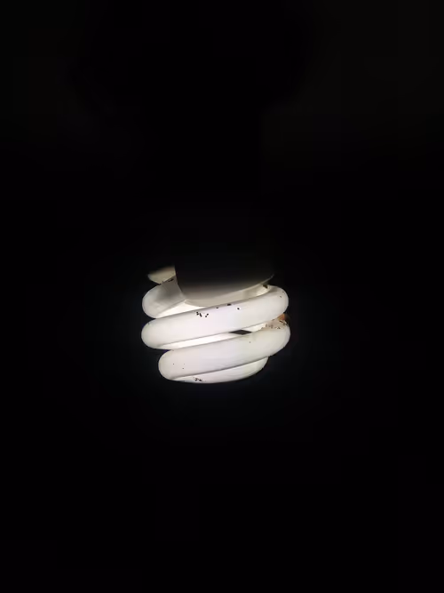 Item #71118925545443045812545684182954688250533307776607249836941590693427846053891 Media