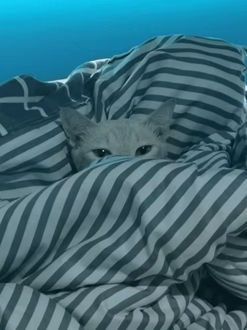 Item #45172585335081813343644153314495358007196078945782785289910377736983615111171 Media