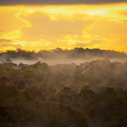 45576425564904372626892608315059614446222544919153294335331944284152156651521