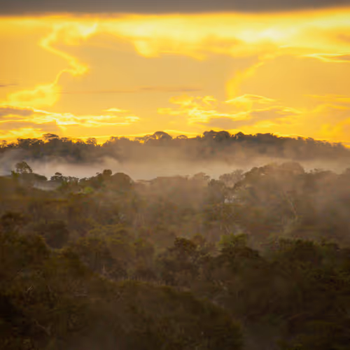 45576425564904372626892608315059614446222544919153294335331944284152156651521