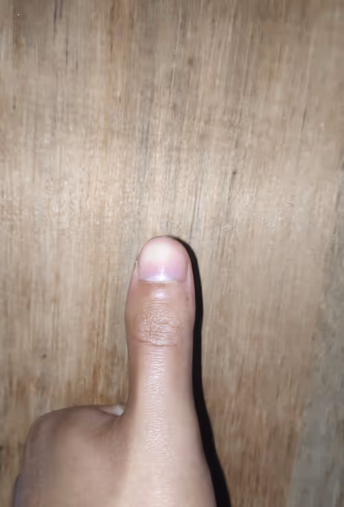 Item #87101312680793949185913621033399323976812514449934998567589402398309711085569 Media