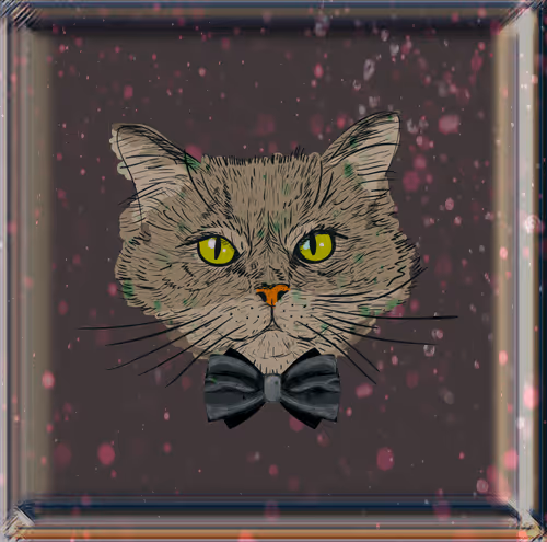 Untitled Collection #206550263