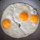 23779004946611625094891987109208740113192097308431692636003938459902564892673