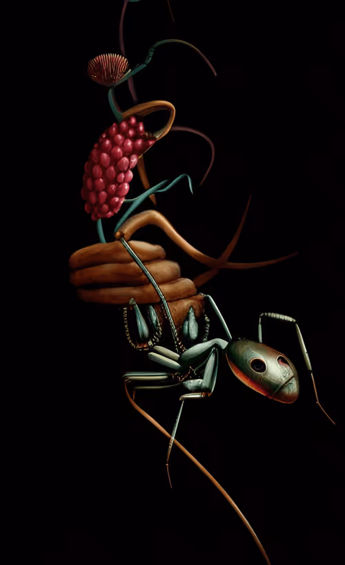 Item #79787343889813582877510155558909016850160649261811296348419943804391785496577 Media