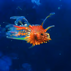 93923887731966639760197662534300547726212510779526051617655967350298517700609