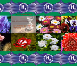 5Sgo#2021