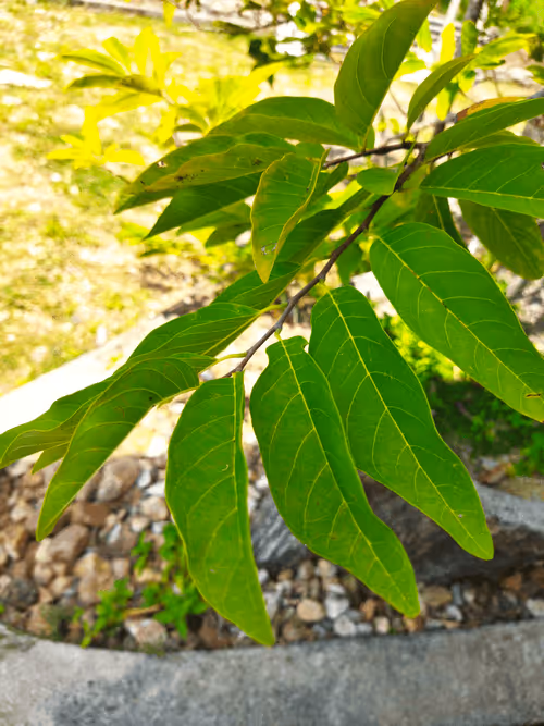 Item #26315463919006413240702995586573937938911851246900991635310397659660523929601 Media