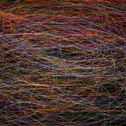 Storm of disconnected thoughts
