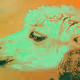 28676935417072713063541993139213171109607257451824134233620179446040899878917