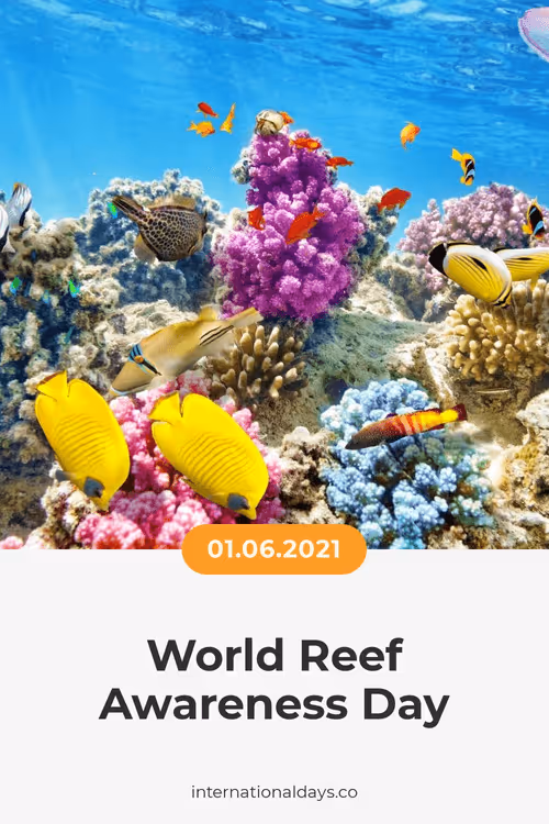 Item #84967509520196306123188380026293221301468344843151761076076916555139279486977 Media