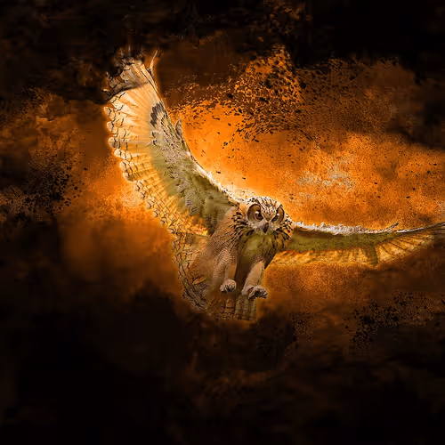 Item #80448937855854328350867262242021082952614082580293981970978425611401197256705 Media