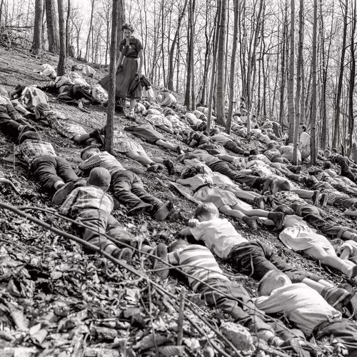 Item #32000974469965393390490201981264320242865717483656495586144324995213233750017 Media