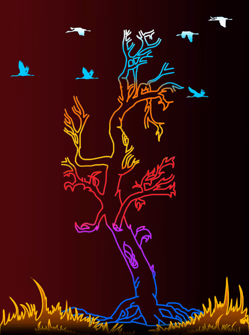 Item #71996874678761771974276966716049740466342451718096264551232435092606435721217 Media