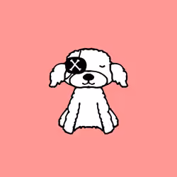 Peachy Poodle #5056