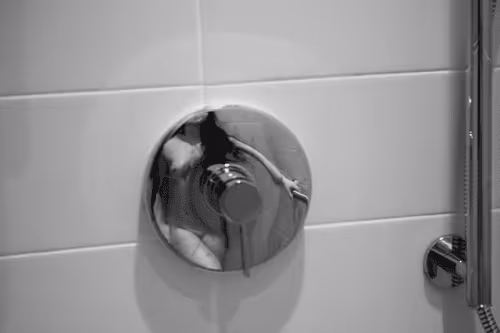 Item #68709499855600671528477948070839332443287280854958222570108696739440492544001 Media