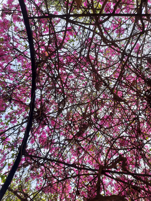 Item #86460548825896395183188707427462696963522650148758793724109723169174874750977 Media