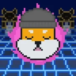 Rocket Shiba #7717