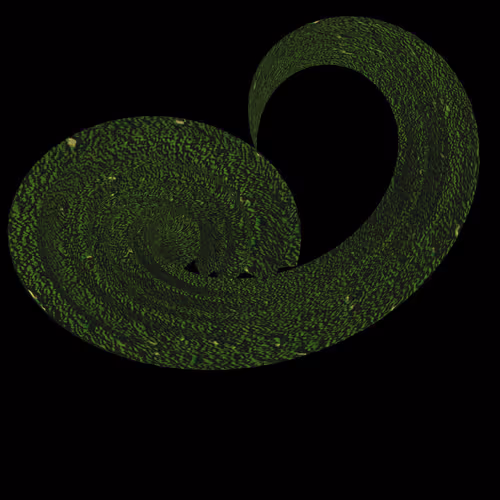 Item #9155873223255974079804742957759609645618888643376992873452662785149188964353 Media