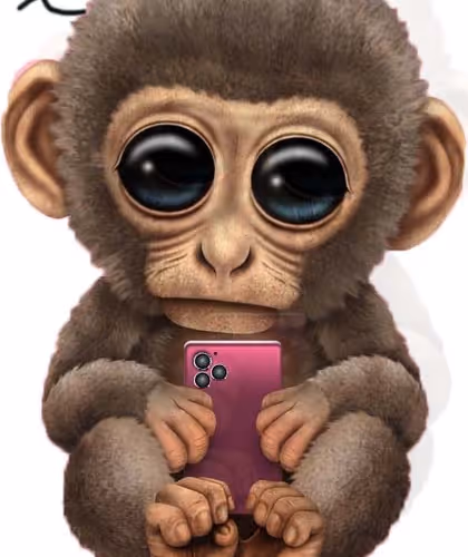 Untitled Collection #217977106