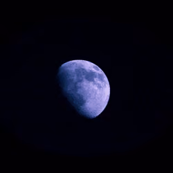 Moonlit #6 Purpleish