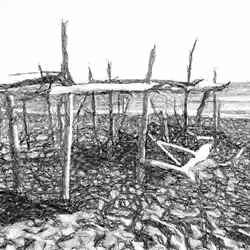 Palapa