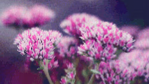 Item #75866091947728652238534111254584504918190435733442380629681527355948488720385 Media