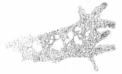 Item #20954007627488363400735222086982776794162068086221938855720851544409594920961 Media