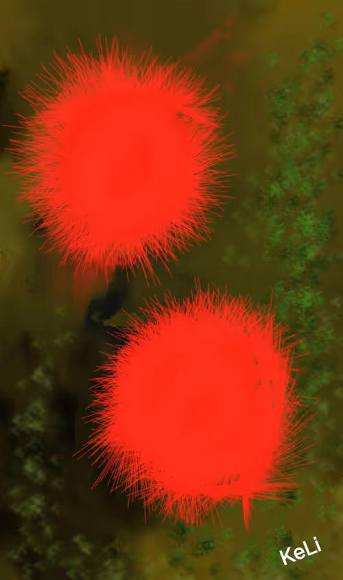 Item #100372621489299438081740613612083099513653390446833448768784776944067568205831 Media