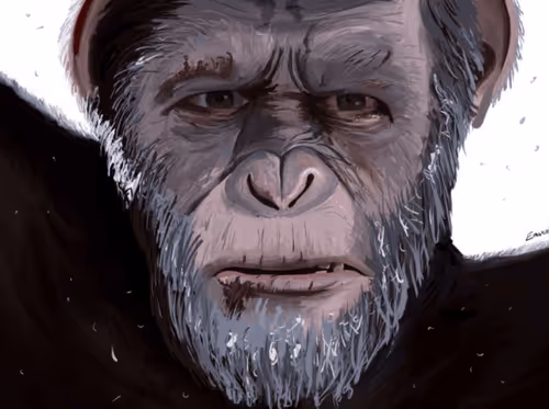 Item #48962084060186019940623196789396244510789399652711377126682244786906705428483 Media