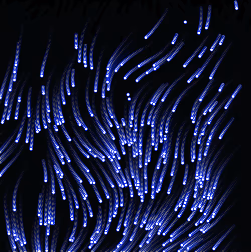 Item #18188641774722569462862161612624599961987570964687117327932822791596684607489 Media