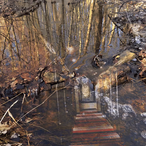 Item #6775040480885046554620352186807230541781554630932689844287671686726785433601 Media