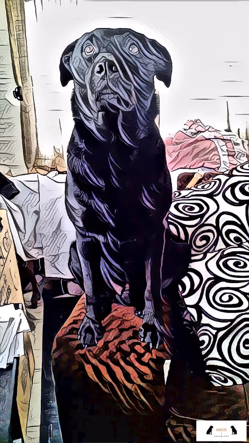 Item #10567450016853403337930259676618451783682953632793231315200837927286106750977 Media