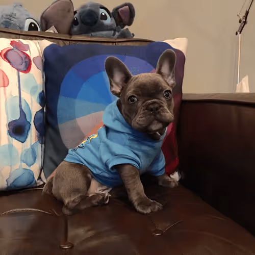 99031261785432219130552668818269695456905868997165113515571762295061975400449