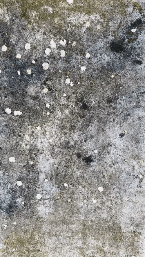 Item #102208406942855281277513809898557647078526314918875506619606133368861040312321 Media