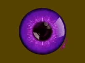 Item #86888049055569980727455928388236990462849056993635331630843994470063739502593 Media