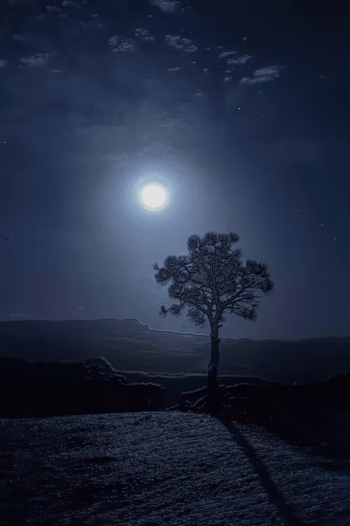 Item #52655132106615007427639537052126499358755561016261279021780266145111961763841 Media