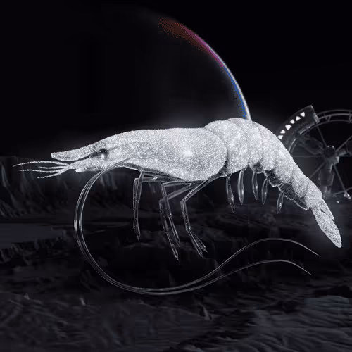 Item #105762233384062999016741843726338797695474386026333060607150235665641678841617 Media