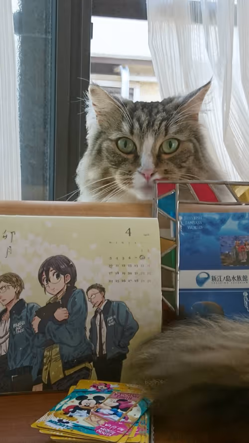 Item #88680272721371285934501562988049178859599418492822572919113237399288961564673 Media